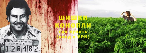 стафф Волосово