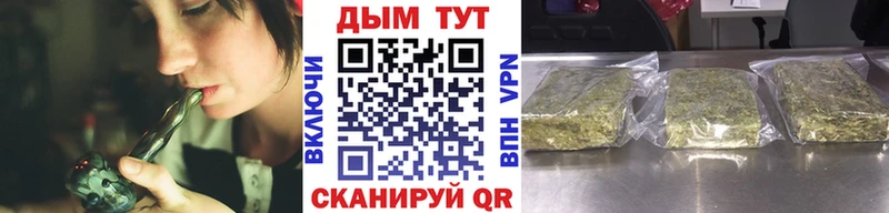 Купить где  Красный Кут  Конопля план 